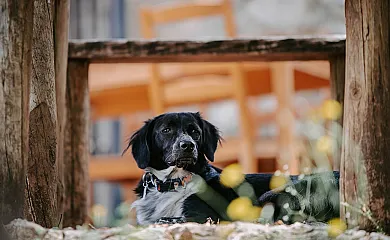 Los Chozos en Benaocaz (Cádiz) - Foto 7