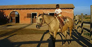 Cal Maso Turismo Rural 0013