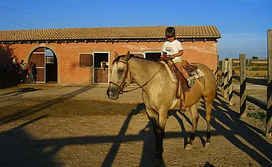 Cal Maso Turismo Rural en Hostafrancs (Lleida) - Foto 13