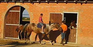 Cal Maso Turismo Rural 005