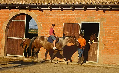 Cal Maso Turismo Rural en Hostafrancs (Lleida) - Foto 5