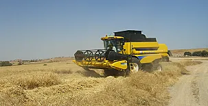 Cal Maso Turismo Rural 0017