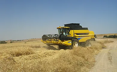 Cal Maso Turismo Rural en Hostafrancs (Lleida) - Foto 17