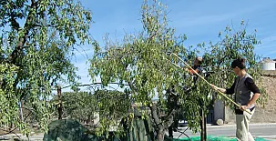 Cal Maso Turismo Rural 0018