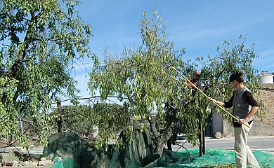 Cal Maso Turismo Rural en Hostafrancs (Lleida) - Foto 18