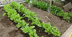 Cal Maso Turismo Rural 0019