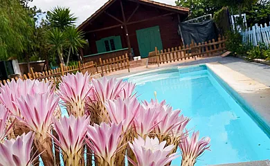 Rural Arcos en Arcos de la Frontera (Cádiz) - Foto 3