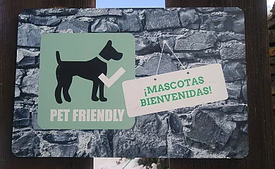 La Pizarra Negra en Campillejo (Guadalajara) - Foto 25