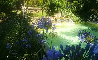 Can L' Hospitalet en Besalu (Girona) - Foto 10