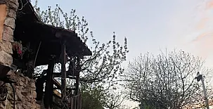 Casas Rurales El Cerro y El Cerezo 0016