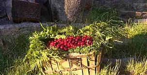 Casas Rurales El Cerro y El Cerezo 0018
