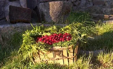 Casas Rurales El Cerro y El Cerezo en Navaconcejo (Cáceres) - Foto 18