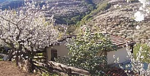 Casas Rurales El Cerro y El Cerezo 004