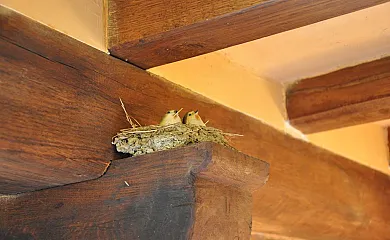 Casa Rural Los Dujos en Gallejones de Zamanzas (Burgos) - Foto 21