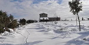 La Torre del Codina 0019