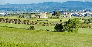 La Torre del Codina 0028