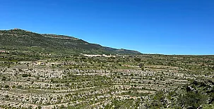 La Antigua Botiga 0033