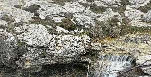 La Antigua Botiga 0032