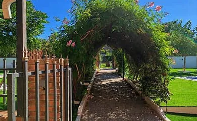 Casa Rural La Bandada y Casa Rural Teralba en Calzada de Oropesa (Toledo) - Foto 23