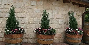 Aldeas de Treviño 0033