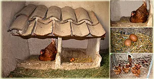 Casa Rural del Labrador 0010