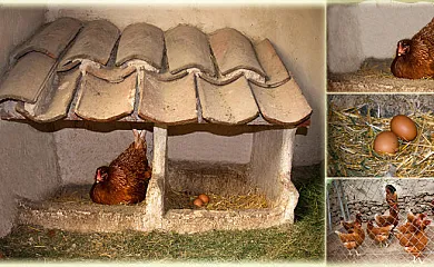 Casa Rural del Labrador en Gomezserracin (Segovia) - Foto 10