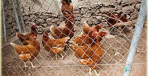 Casa Rural del Labrador 005