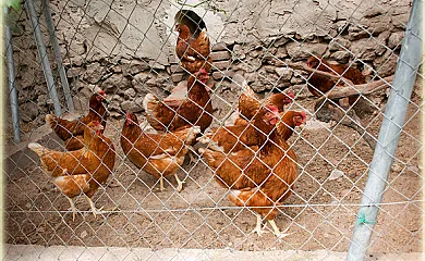 Casa Rural del Labrador en Gomezserracin (Segovia) - Foto 5