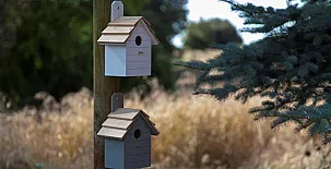 Turismo Rural Cal Saboya 009