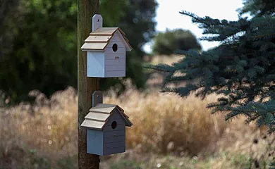 Turismo Rural Cal Saboya en L´Espunyola (Barcelona) - Foto 9