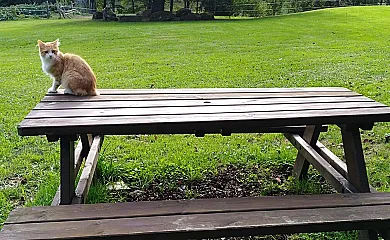 Artizarra en Hondarribia (Guipuzcoa) - Foto 18