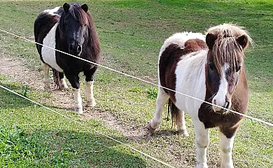 Artizarra en Hondarribia (Guipuzcoa) - Foto 24