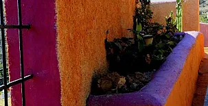 Cortijo de la Media Luna 0014