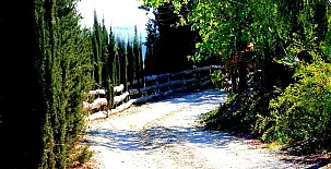 Cortijo de la Media Luna 0055