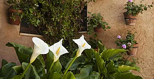 Casa Rural El Simarro 0020