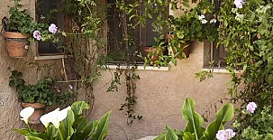 Casa Rural El Simarro 0028