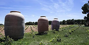 Casa Rural El Simarro 0034