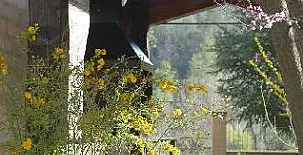 La Torre D´Ogern 0017