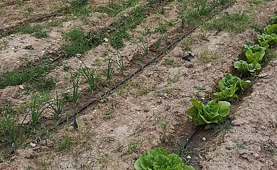 Casa de Naomi en Chella (Valencia) - Foto 22