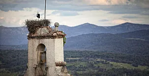 La Rosa del Valle 0064