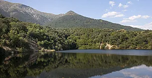 La Rosa del Valle 0062