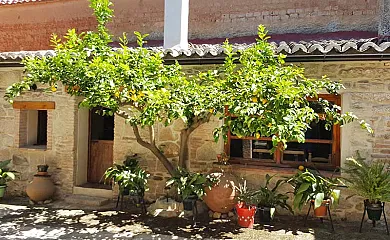 Felicity house. Casa del Sol en Valdeverdeja (Toledo) - Foto 20