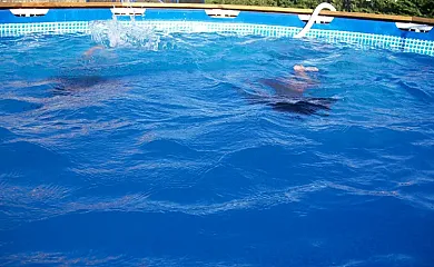 Los Campos en Padiernos (Ávila) - Foto 8