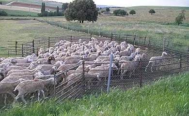Los Campos en Padiernos (Ávila) - Foto 20