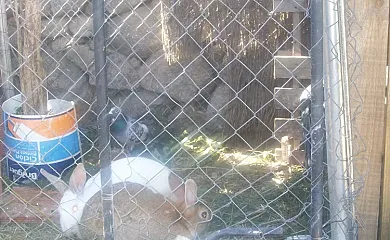 Los Campos en Padiernos (Ávila) - Foto 21