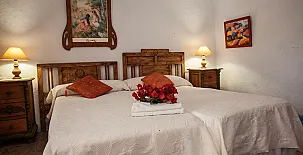 Casa Rural Aloe Vera 007