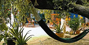 Casa Rural Aloe Vera 002