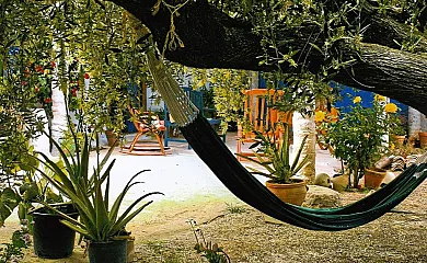 Casa Rural Aloe Vera en Huercal. Overa (Almería) - Foto 2