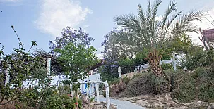 Casa Rural Aloe Vera 0025