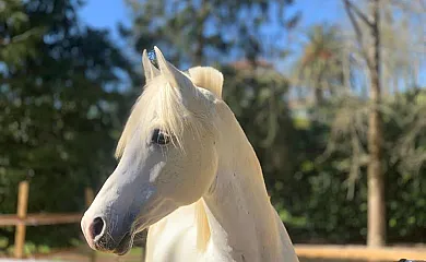 Casa Córdoba en Esles (Cantabria) - Foto 2